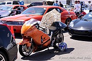 11833-D3A-100.jpg