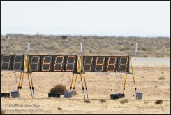 01642-D850-600.jpg