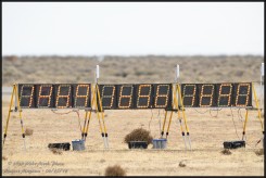 01859-D850-600.jpg