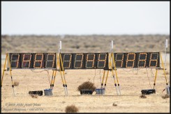 01872-D850-600.jpg
