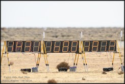 01891-D850-600.jpg