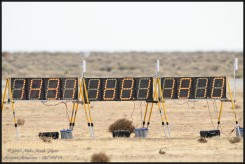 01899-D850-600.jpg