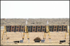 01989-D850-600.jpg